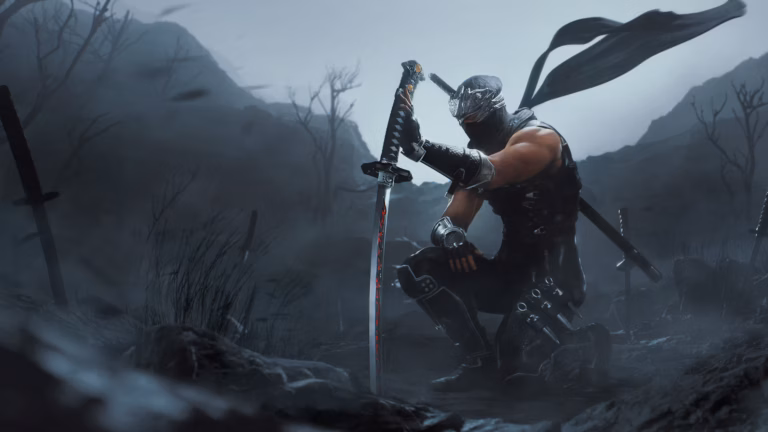 Image: Team Ninja