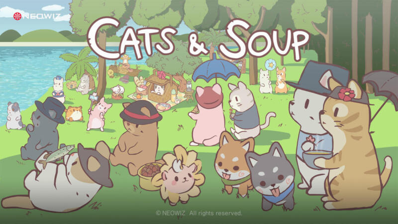 Cats & Soup