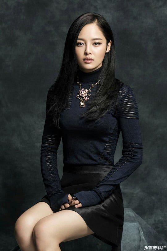 Fakta Xin Zhi Lei
