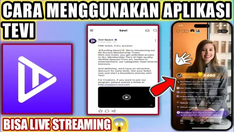 Tevi Mod Apk