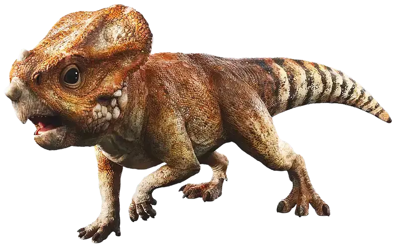 Aquilops
