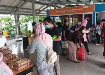 Image: kompas.com