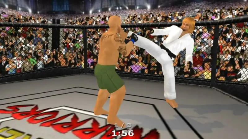 MMA