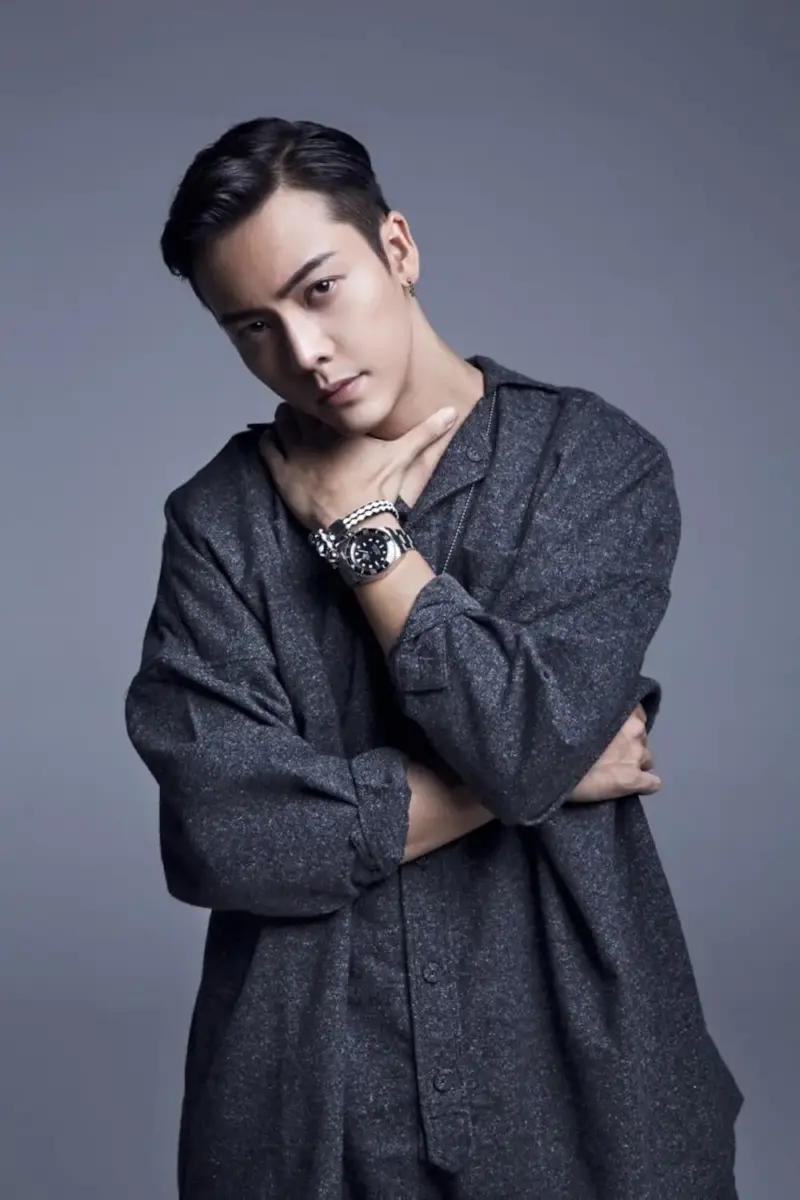 chinese drama Love's Ambition cast