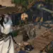 Sword Of Justice/NetEase Games