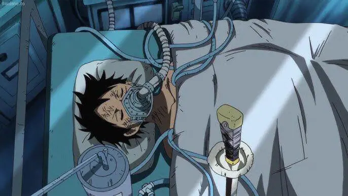 Pandangan Terhadap Risiko | luffy vs kurohige one piece