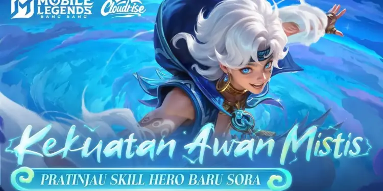 Hero Counter Sora Ml 2