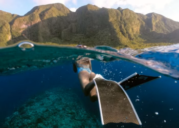 6 Rekomendasi Kamera Underwater Terbaik 2026