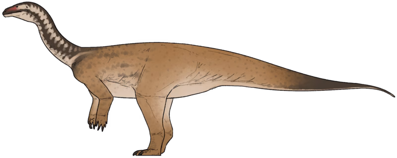 Xiangyunloong fengming, Spesies Dinosaurus Baru Ditemukan di China 2 Spesies Dinosaurus Baru, Xiangyunloong fengming