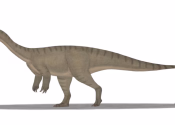 Xiangyunloong fengming, Spesies Dinosaurus Baru Ditemukan di China