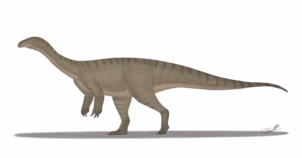 Xiangyunloong fengming, Spesies Dinosaurus Baru Ditemukan di China