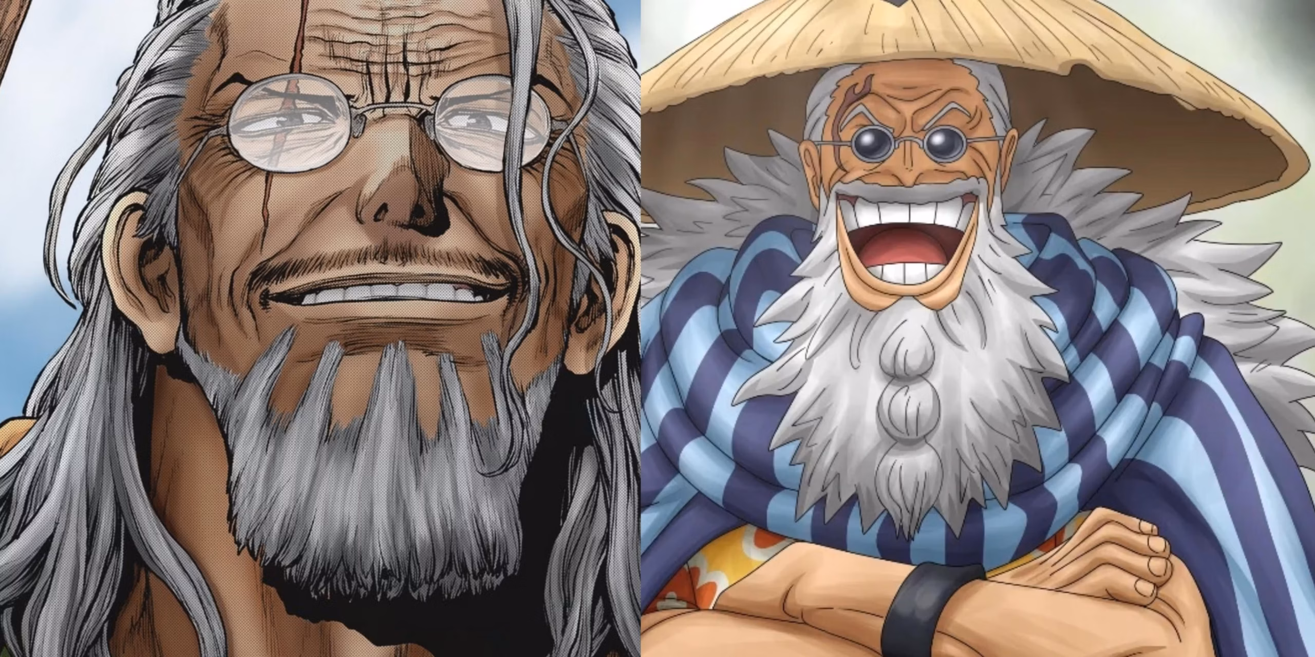 Perbedaan Gaya Bertarung Rayleigh dan Gaban di One Piece 1 Perbedaan Rayleigh dan Gaban di One Piece scaled
