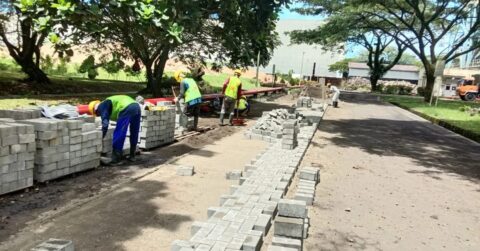 Cara Memasang Paving Block yang Benar dari Nol Sampai Rapi