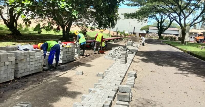 Cara Memasang Paving Block yang Benar dari Nol Sampai Rapi 4 Cara Memasang Paving Block yang Benar dari Nol Sampai Rapi