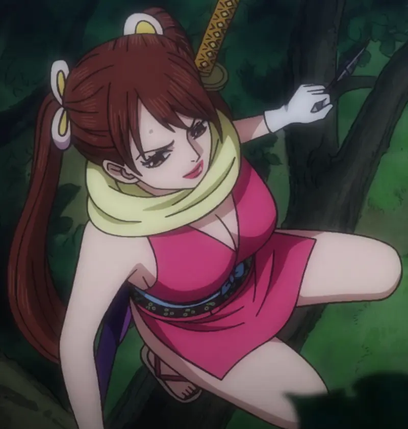 Wanita Tercantik di One Piece