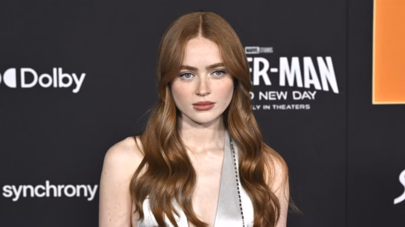 Spider-Man: Brand New Day Rubah Total Asal Usul Jean Grey di MCU 3 asal usul jean grey mcu