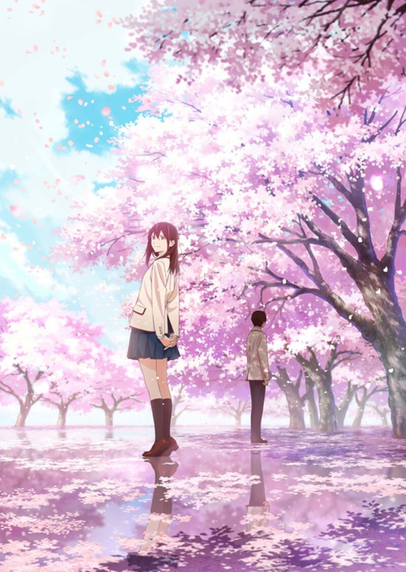 50 Anime Romance Terbaik Sepanjang Masa, Wajib Ditonton 34 Kimi no Suizou wo Tabetai I Want to Eat Your Pancreas
