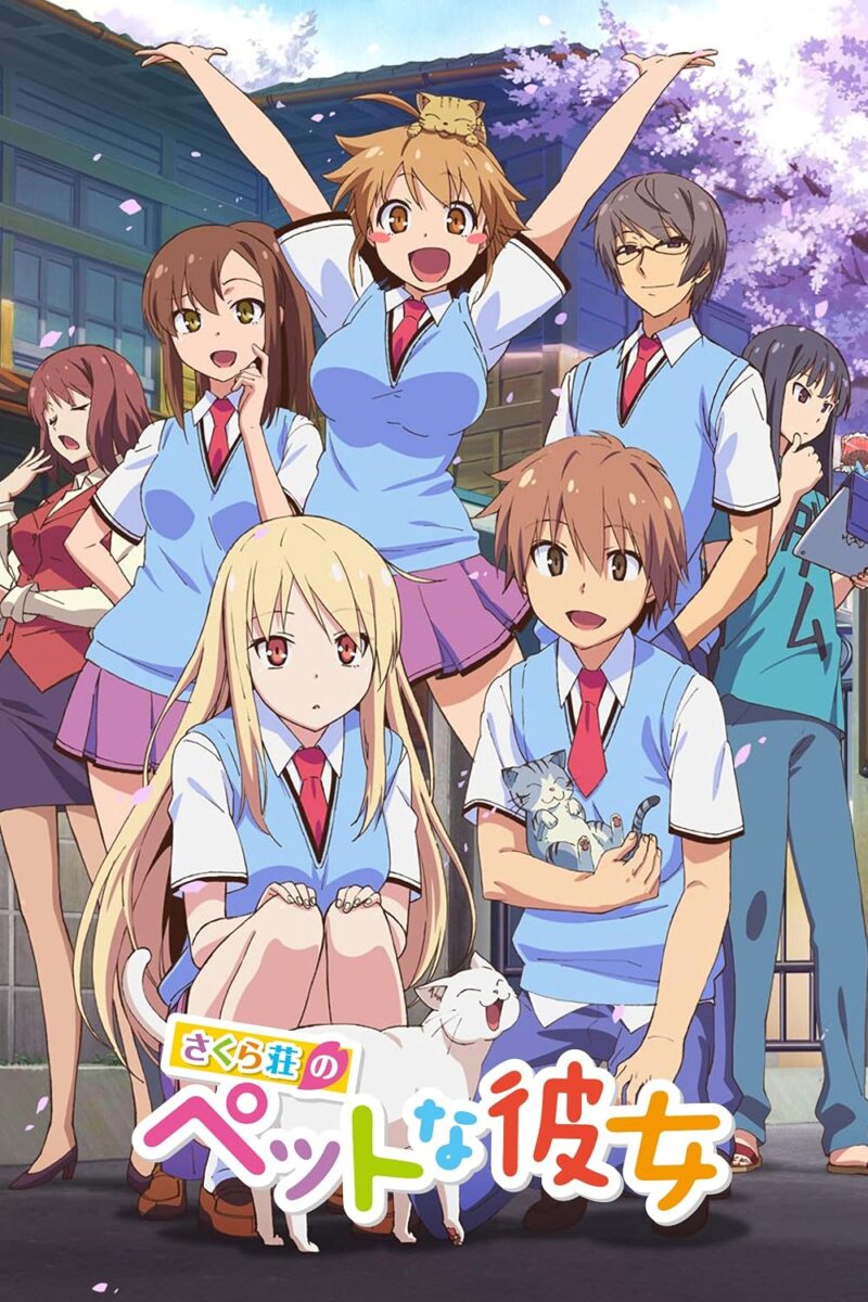 50 Anime Romance Terbaik Sepanjang Masa, Wajib Ditonton 44 The Pet Girl of Sakurasou