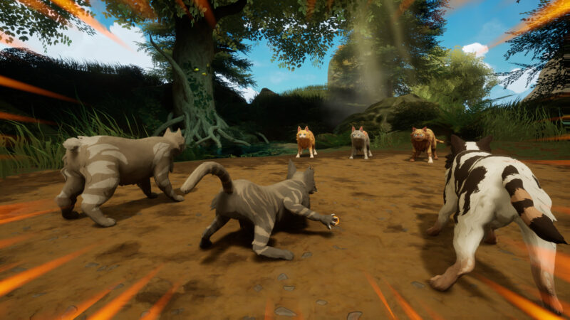 Warrior Cats: Clans of the Forest 