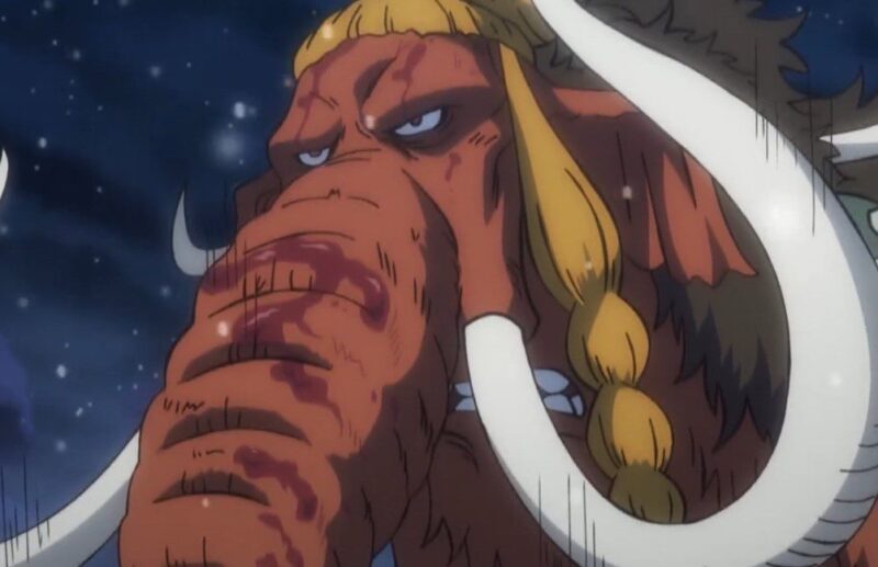 Jenis Buah Iblis One Piece